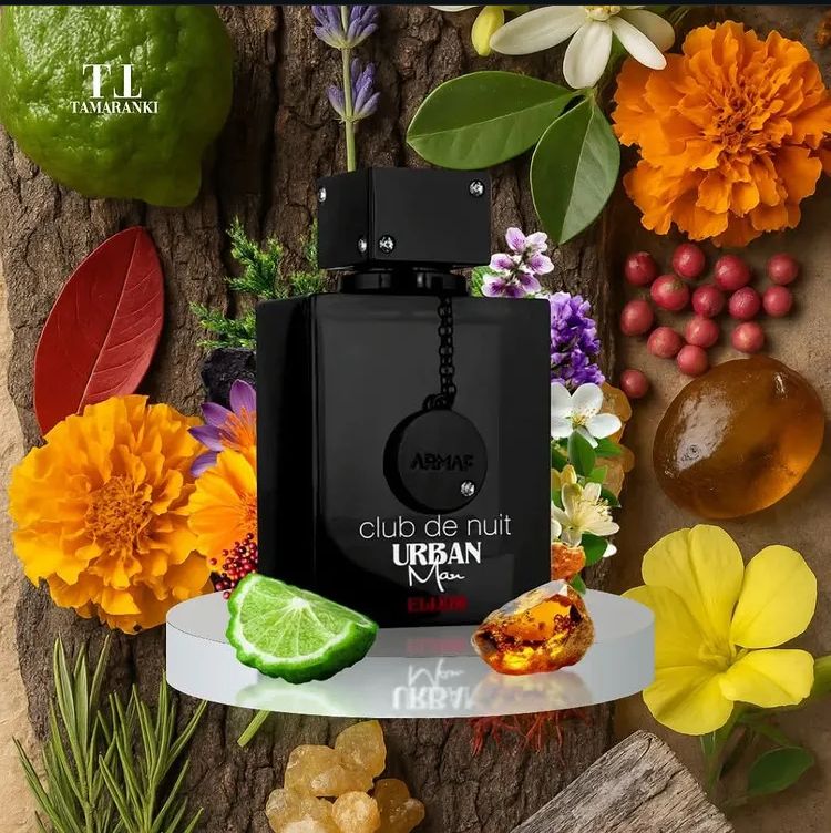 Club de Nuit Urban Max Elixir